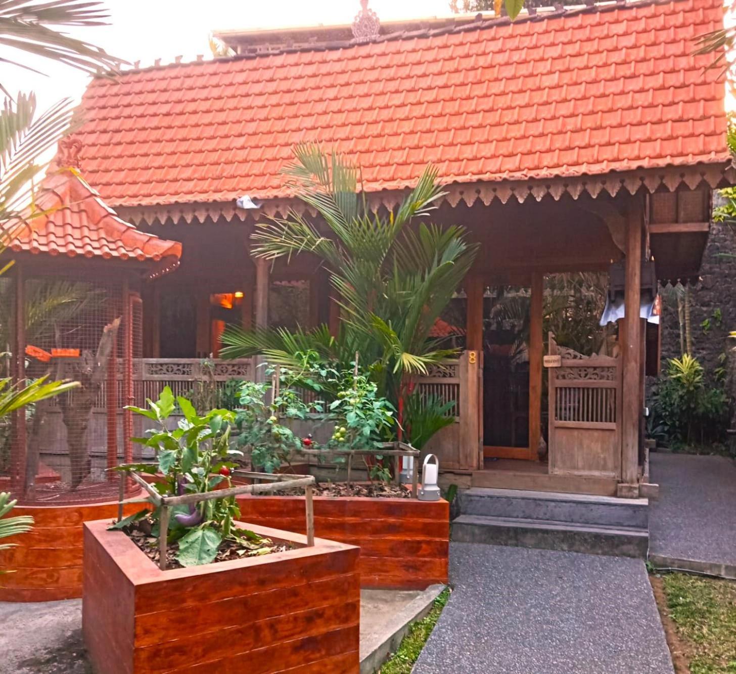 Lily Lane Villas Ubud Buitenkant foto
