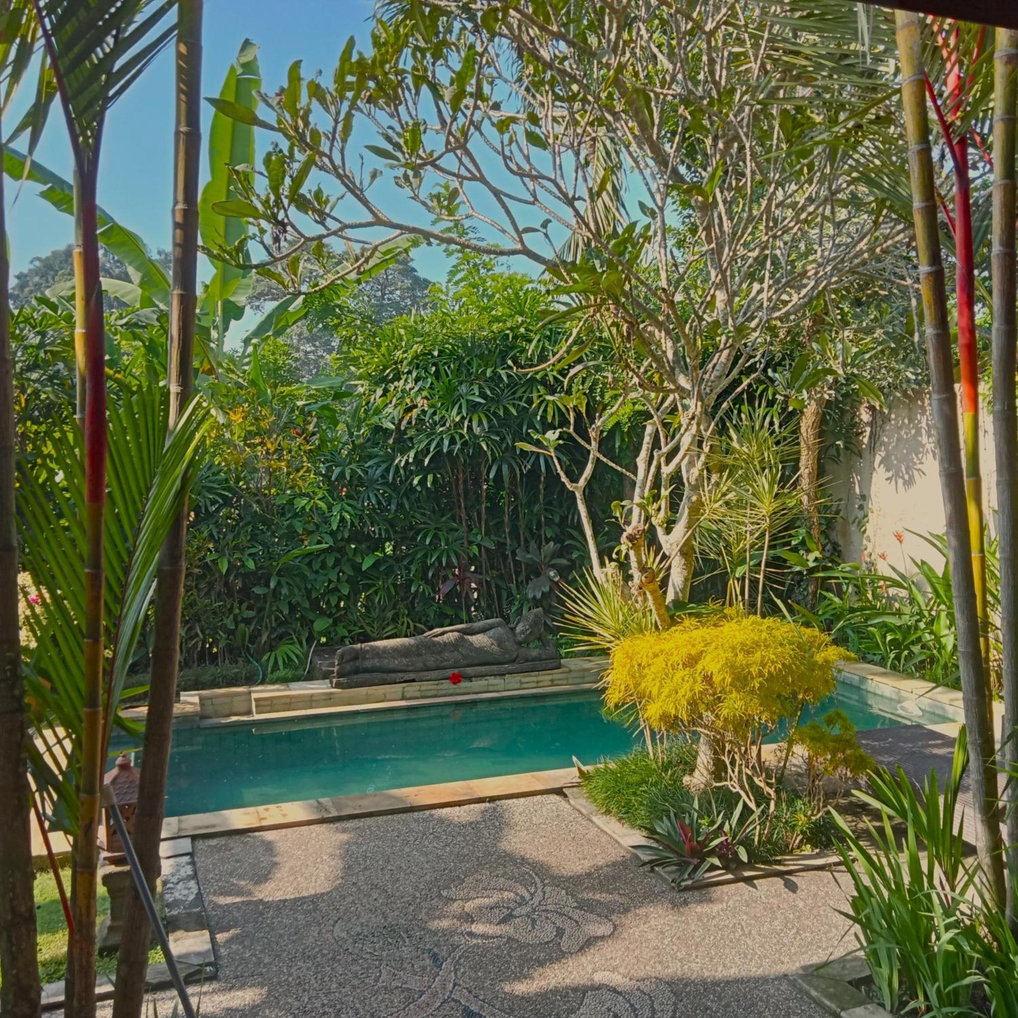 Lily Lane Villas Ubud Buitenkant foto