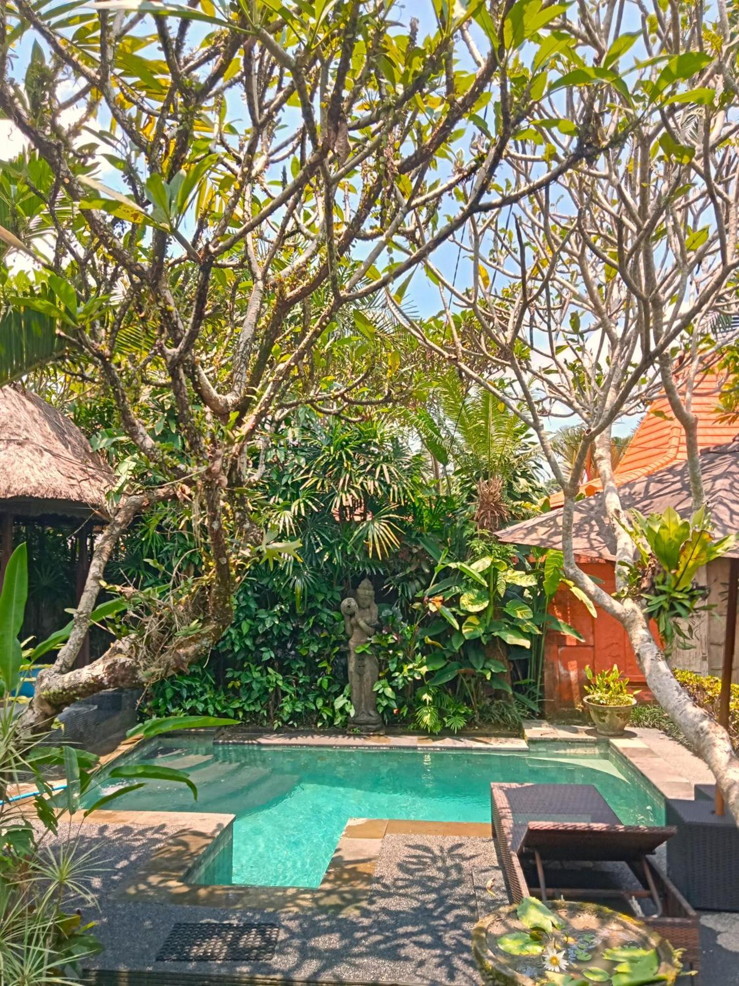 Lily Lane Villas Ubud Buitenkant foto